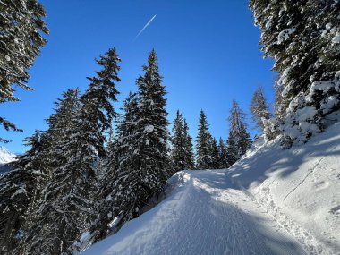 İsviçre 'nin Grisons Kantonu (Kanton Graubuenden, Schweiz) adlı İsviçre Alpleri' ndeki Davos tatil beldesinde yürüyüş, yürüyüş, yürüyüş, spor ve dinlenme için mükemmel düzenlenmiş kış patikaları.)