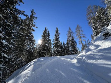 İsviçre 'nin Grisons Kantonu (Kanton Graubuenden, Schweiz) adlı İsviçre Alpleri' ndeki Davos tatil beldesinde yürüyüş, yürüyüş, yürüyüş, spor ve dinlenme için mükemmel düzenlenmiş kış patikaları.)