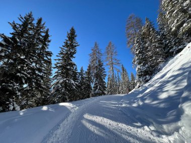 İsviçre 'nin Grisons Kantonu (Kanton Graubuenden, Schweiz) adlı İsviçre Alpleri' ndeki Davos tatil beldesinde yürüyüş, yürüyüş, yürüyüş, spor ve dinlenme için mükemmel düzenlenmiş kış patikaları.)