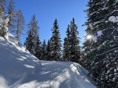 İsviçre 'nin Grisons Kantonu (Kanton Graubuenden, Schweiz) adlı İsviçre Alpleri' ndeki Davos tatil beldesinde yürüyüş, yürüyüş, yürüyüş, spor ve dinlenme için mükemmel düzenlenmiş kış patikaları.)