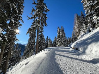 İsviçre 'nin Grisons Kantonu (Kanton Graubuenden, Schweiz) adlı İsviçre Alpleri' ndeki Davos tatil beldesinde yürüyüş, yürüyüş, yürüyüş, spor ve dinlenme için mükemmel düzenlenmiş kış patikaları.)