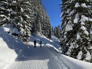 İsviçre 'nin Grisons Kantonu (Kanton Graubuenden, Schweiz) adlı İsviçre Alpleri' ndeki Davos tatil beldesinde yürüyüş, yürüyüş, yürüyüş, spor ve dinlenme için mükemmel düzenlenmiş kış patikaları.)