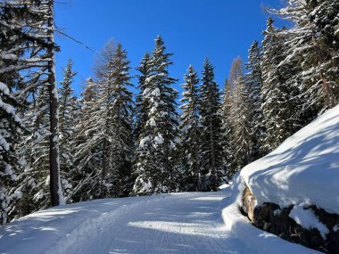 İsviçre 'nin Grisons Kantonu (Kanton Graubuenden, Schweiz) adlı İsviçre Alpleri' ndeki Davos tatil beldesinde yürüyüş, yürüyüş, yürüyüş, spor ve dinlenme için mükemmel düzenlenmiş kış patikaları.)