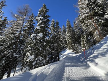 İsviçre 'nin Grisons Kantonu (Kanton Graubuenden, Schweiz) adlı İsviçre Alpleri' ndeki Davos tatil beldesinde yürüyüş, yürüyüş, yürüyüş, spor ve dinlenme için mükemmel düzenlenmiş kış patikaları.)