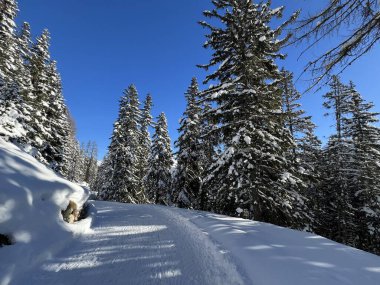 İsviçre 'nin Grisons Kantonu (Kanton Graubuenden, Schweiz) adlı İsviçre Alpleri' ndeki Davos tatil beldesinde yürüyüş, yürüyüş, yürüyüş, spor ve dinlenme için mükemmel düzenlenmiş kış patikaları.)