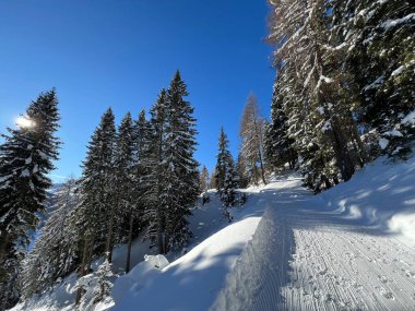 İsviçre 'nin Grisons Kantonu (Kanton Graubuenden, Schweiz) adlı İsviçre Alpleri' ndeki Davos tatil beldesinde yürüyüş, yürüyüş, yürüyüş, spor ve dinlenme için mükemmel düzenlenmiş kış patikaları.)