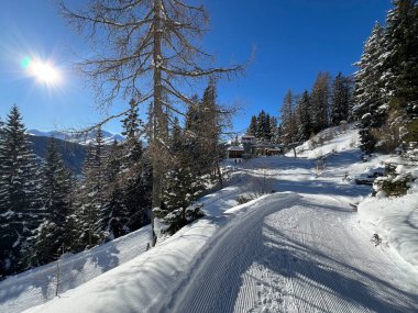 İsviçre 'nin Grisons Kantonu (Kanton Graubuenden, Schweiz) adlı İsviçre Alpleri' ndeki Davos tatil beldesinde yürüyüş, yürüyüş, yürüyüş, spor ve dinlenme için mükemmel düzenlenmiş kış patikaları.)