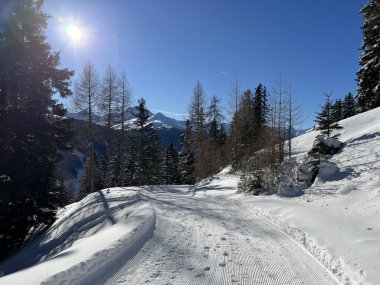 İsviçre 'nin Grisons Kantonu (Kanton Graubuenden, Schweiz) adlı İsviçre Alpleri' ndeki Davos tatil beldesinde yürüyüş, yürüyüş, yürüyüş, spor ve dinlenme için mükemmel düzenlenmiş kış patikaları.)