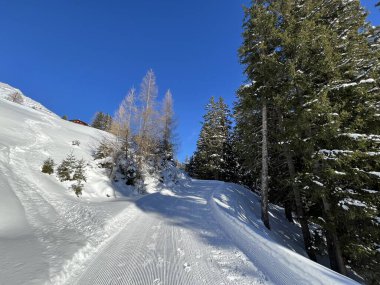 İsviçre 'nin Grisons Kantonu (Kanton Graubuenden, Schweiz) adlı İsviçre Alpleri' ndeki Davos tatil beldesinde yürüyüş, yürüyüş, yürüyüş, spor ve dinlenme için mükemmel düzenlenmiş kış patikaları.)