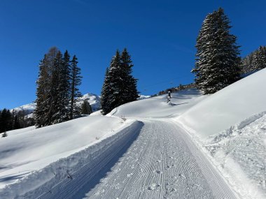 İsviçre 'nin Grisons Kantonu (Kanton Graubuenden, Schweiz) adlı İsviçre Alpleri' ndeki Davos tatil beldesinde yürüyüş, yürüyüş, yürüyüş, spor ve dinlenme için mükemmel düzenlenmiş kış patikaları.)