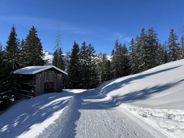 İsviçre 'nin Grisons Kantonu (Kanton Graubuenden, Schweiz) adlı İsviçre Alpleri' ndeki Davos tatil beldesinde yürüyüş, yürüyüş, yürüyüş, spor ve dinlenme için mükemmel düzenlenmiş kış patikaları.)