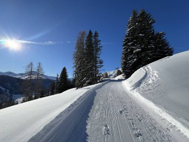 İsviçre 'nin Grisons Kantonu (Kanton Graubuenden, Schweiz) adlı İsviçre Alpleri' ndeki Davos tatil beldesinde yürüyüş, yürüyüş, yürüyüş, spor ve dinlenme için mükemmel düzenlenmiş kış patikaları.)