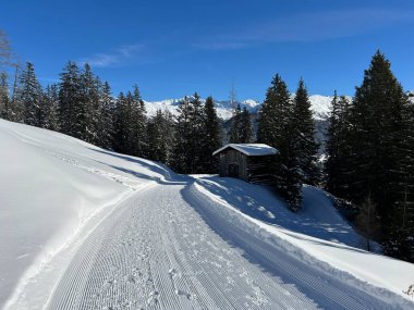 İsviçre 'nin Grisons Kantonu (Kanton Graubuenden, Schweiz) adlı İsviçre Alpleri' ndeki Davos tatil beldesinde yürüyüş, yürüyüş, yürüyüş, spor ve dinlenme için mükemmel düzenlenmiş kış patikaları.)