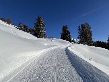 İsviçre 'nin Grisons Kantonu (Kanton Graubuenden, Schweiz) adlı İsviçre Alpleri' ndeki Davos tatil beldesinde yürüyüş, yürüyüş, yürüyüş, spor ve dinlenme için mükemmel düzenlenmiş kış patikaları.)