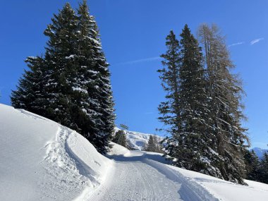 İsviçre 'nin Grisons Kantonu (Kanton Graubuenden, Schweiz) adlı İsviçre Alpleri' ndeki Davos tatil beldesinde yürüyüş, yürüyüş, yürüyüş, spor ve dinlenme için mükemmel düzenlenmiş kış patikaları.)