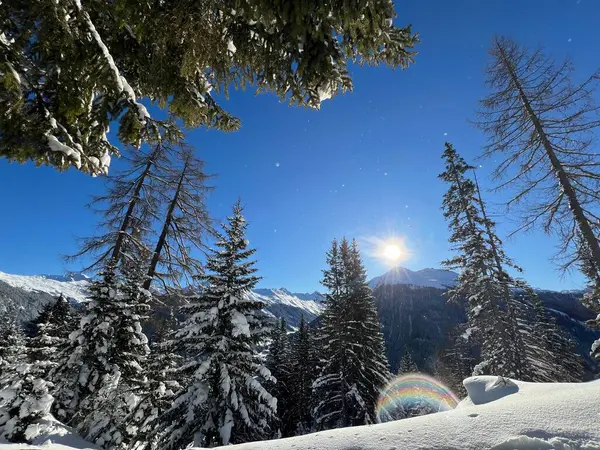 İsviçre Alplerinde tipik bir kış atmosferindeki alp ağaçlarının resimli gölgeleri ve İsviçre 'nin Grison Kantonu (Kanton Graubuenden, Schweiz)