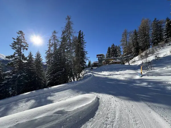 İsviçre 'nin Grisons Kantonu (Kanton Graubuenden, Schweiz) adlı İsviçre Alpleri' ndeki Davos tatil beldesinde yürüyüş, yürüyüş, yürüyüş, spor ve dinlenme için mükemmel düzenlenmiş kış patikaları.)