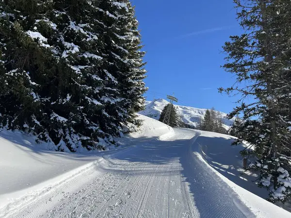 İsviçre 'nin Grisons Kantonu (Kanton Graubuenden, Schweiz) adlı İsviçre Alpleri' ndeki Davos tatil beldesinde yürüyüş, yürüyüş, yürüyüş, spor ve dinlenme için mükemmel düzenlenmiş kış patikaları.)