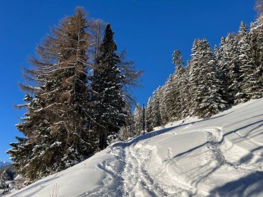 İsviçre Alpleri 'nin taze dağlık kar örtüsünde ve İsviçre' nin Grisonlar Kantonu (Kanton Graubuenden, Schweiz)