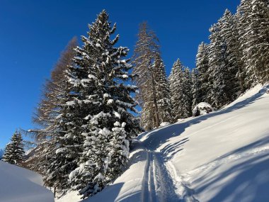 İsviçre Alpleri 'nin taze dağlık kar örtüsünde ve İsviçre' nin Grisonlar Kantonu (Kanton Graubuenden, Schweiz)
