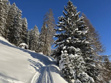 İsviçre Alpleri 'nin taze dağlık kar örtüsünde ve İsviçre' nin Grisonlar Kantonu (Kanton Graubuenden, Schweiz)