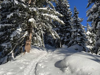 İsviçre Alpleri 'nin taze dağlık kar örtüsünde ve İsviçre' nin Grisonlar Kantonu (Kanton Graubuenden, Schweiz)