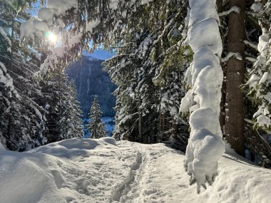 İsviçre Alpleri 'nin taze dağlık kar örtüsünde ve İsviçre' nin Grisonlar Kantonu (Kanton Graubuenden, Schweiz)