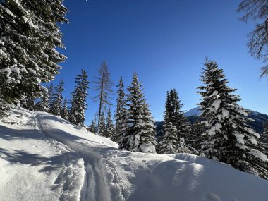 İsviçre Alpleri 'nin taze dağlık kar örtüsünde ve İsviçre' nin Grisonlar Kantonu (Kanton Graubuenden, Schweiz)