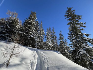 İsviçre Alpleri 'nin taze dağlık kar örtüsünde ve İsviçre' nin Grisonlar Kantonu (Kanton Graubuenden, Schweiz)