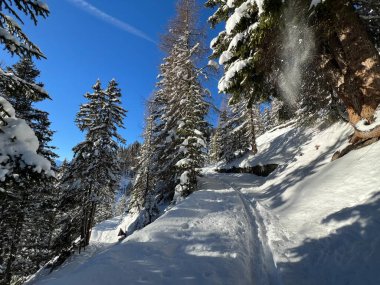 İsviçre Alpleri 'nin taze dağlık kar örtüsünde ve İsviçre' nin Grisonlar Kantonu (Kanton Graubuenden, Schweiz)