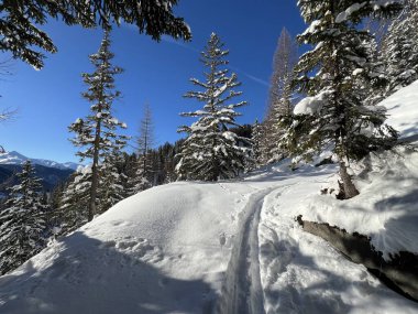 İsviçre Alpleri 'nin taze dağlık kar örtüsünde ve İsviçre' nin Grisonlar Kantonu (Kanton Graubuenden, Schweiz)