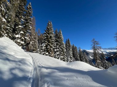 İsviçre Alpleri 'nin taze dağlık kar örtüsünde ve İsviçre' nin Grisonlar Kantonu (Kanton Graubuenden, Schweiz)
