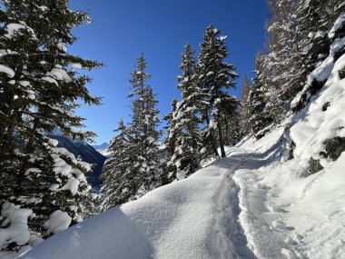 İsviçre Alpleri 'nin taze dağlık kar örtüsünde ve İsviçre' nin Grisonlar Kantonu (Kanton Graubuenden, Schweiz)