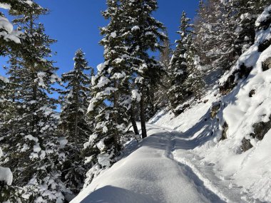 İsviçre Alpleri 'nin taze dağlık kar örtüsünde ve İsviçre' nin Grisonlar Kantonu (Kanton Graubuenden, Schweiz)