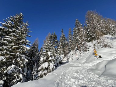 İsviçre Alpleri 'nin taze dağlık kar örtüsünde ve İsviçre' nin Grisonlar Kantonu (Kanton Graubuenden, Schweiz)