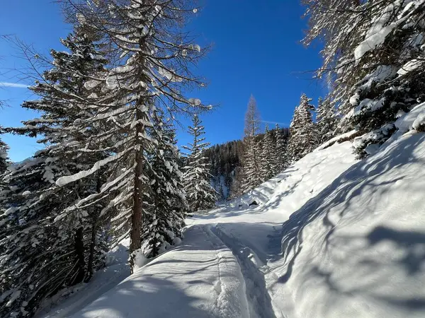 İsviçre Alpleri 'nin taze dağlık kar örtüsünde ve İsviçre' nin Grisonlar Kantonu (Kanton Graubuenden, Schweiz)