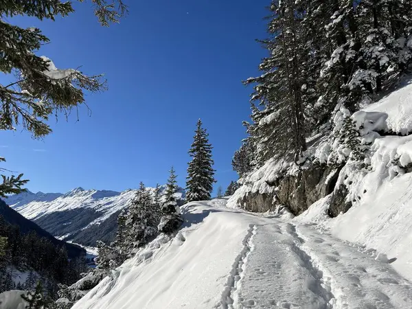 İsviçre Alpleri 'nin taze dağlık kar örtüsünde ve İsviçre' nin Grisonlar Kantonu (Kanton Graubuenden, Schweiz)