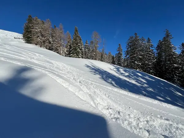 İsviçre Alpleri 'nin taze dağlık kar örtüsünde ve İsviçre' nin Grisonlar Kantonu (Kanton Graubuenden, Schweiz)