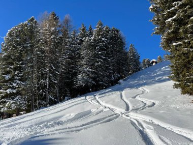 İsviçre Alpleri 'nin taze dağlık kar örtüsünde ve İsviçre' nin Grisonlar Kantonu (Kanton Graubuenden, Schweiz)