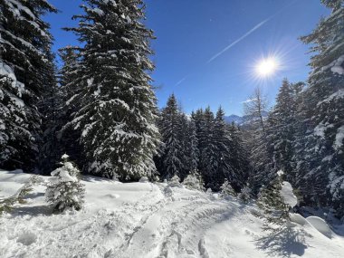 İsviçre Alpleri 'nin taze dağlık kar örtüsünde ve İsviçre' nin Grisonlar Kantonu (Kanton Graubuenden, Schweiz)