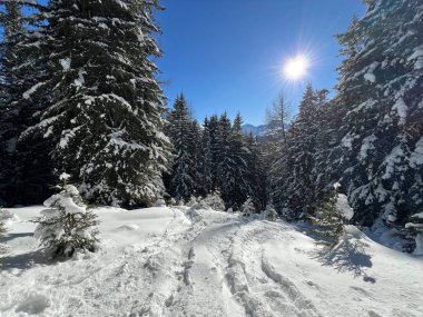 İsviçre Alpleri 'nin taze dağlık kar örtüsünde ve İsviçre' nin Grisonlar Kantonu (Kanton Graubuenden, Schweiz)