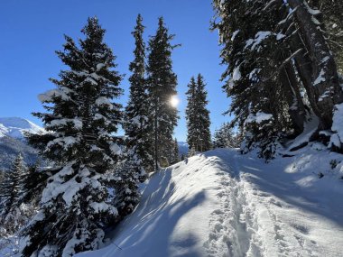 İsviçre Alpleri 'nin taze dağlık kar örtüsünde ve İsviçre' nin Grisonlar Kantonu (Kanton Graubuenden, Schweiz)