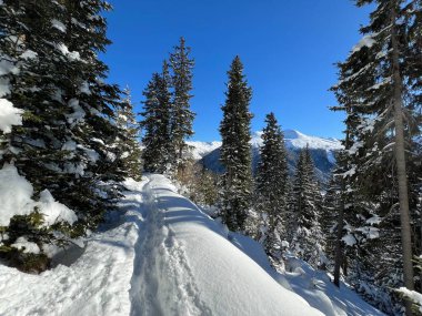 İsviçre Alpleri 'nin taze dağlık kar örtüsünde ve İsviçre' nin Grisonlar Kantonu (Kanton Graubuenden, Schweiz)