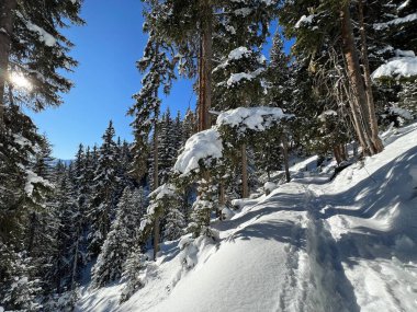 İsviçre Alpleri 'nin taze dağlık kar örtüsünde ve İsviçre' nin Grisonlar Kantonu (Kanton Graubuenden, Schweiz)