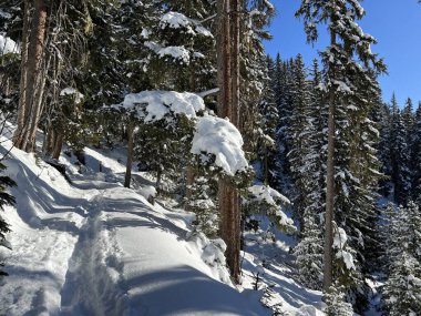 İsviçre Alpleri 'nin taze dağlık kar örtüsünde ve İsviçre' nin Grisonlar Kantonu (Kanton Graubuenden, Schweiz)