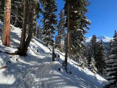 İsviçre Alpleri 'nin taze dağlık kar örtüsünde ve İsviçre' nin Grisonlar Kantonu (Kanton Graubuenden, Schweiz)