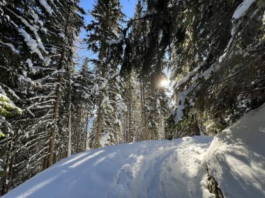 İsviçre Alpleri 'nin taze dağlık kar örtüsünde ve İsviçre' nin Grisonlar Kantonu (Kanton Graubuenden, Schweiz)