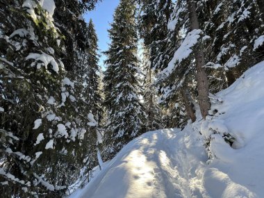 İsviçre Alpleri 'nin taze dağlık kar örtüsünde ve İsviçre' nin Grisonlar Kantonu (Kanton Graubuenden, Schweiz)