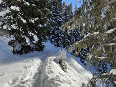 İsviçre Alpleri 'nin taze dağlık kar örtüsünde ve İsviçre' nin Grisonlar Kantonu (Kanton Graubuenden, Schweiz)
