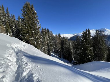 İsviçre Alpleri 'nin taze dağlık kar örtüsünde ve İsviçre' nin Grisonlar Kantonu (Kanton Graubuenden, Schweiz)